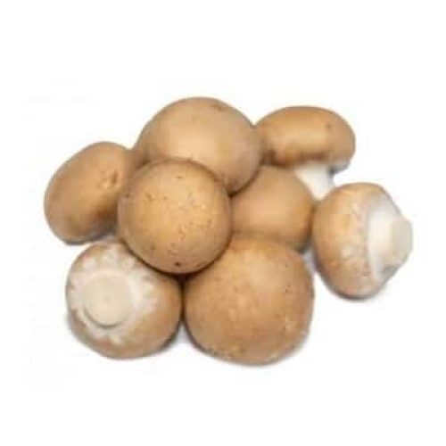paddestoelen