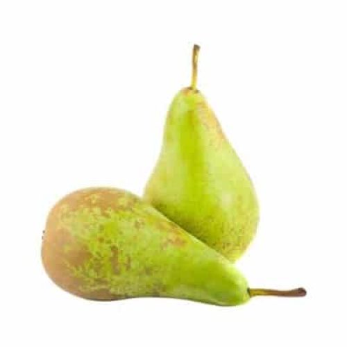 peren
